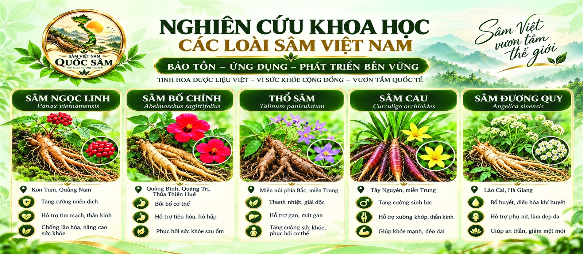 Tin tức Shin Skin Medical