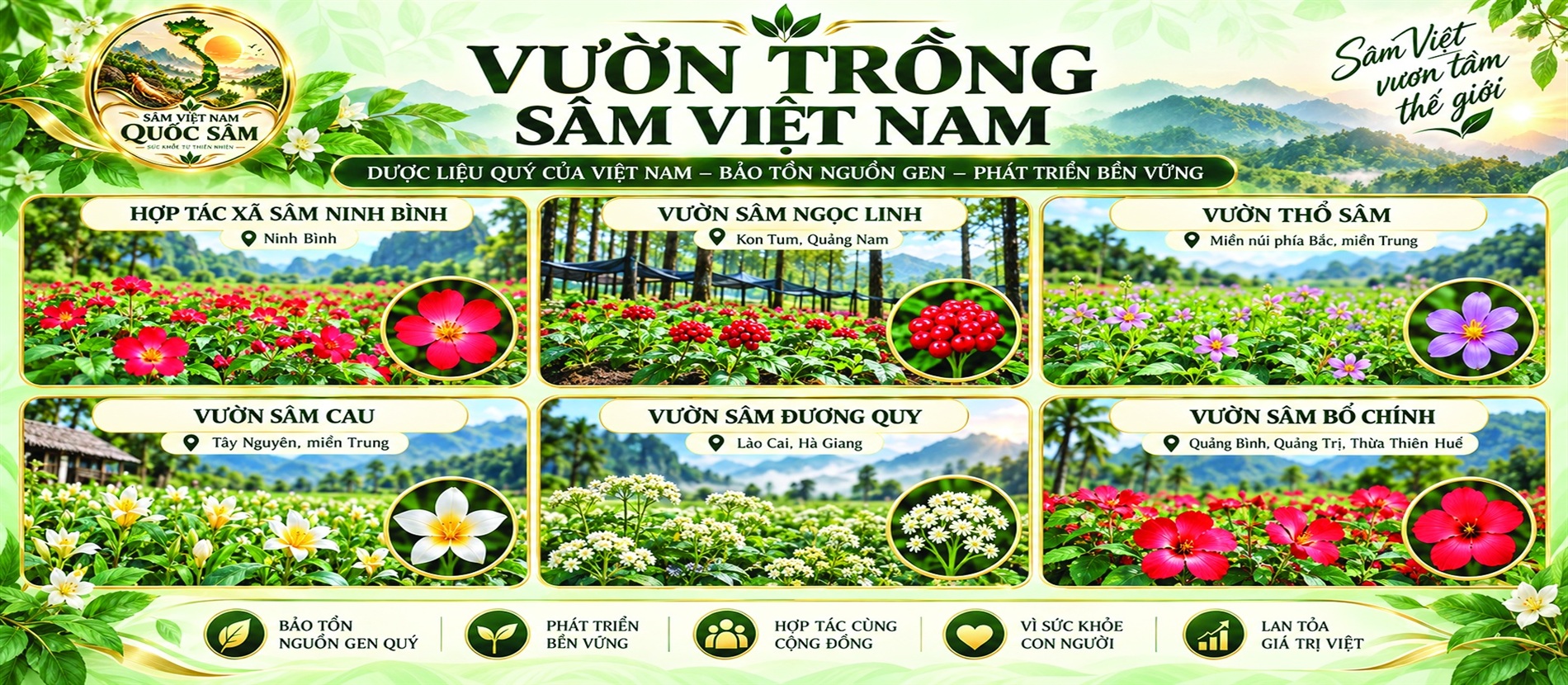 Tin tức Shin Skin Medical